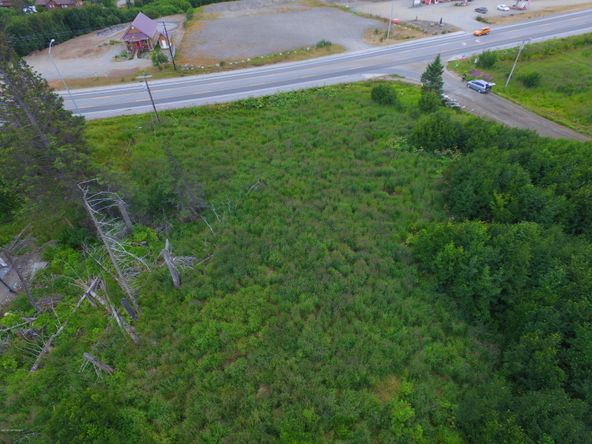 3658 Forest Glen Dr, Homer, AK 99603